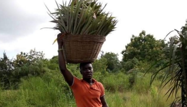 Togo: à la découverte d’un jeune agriculteur